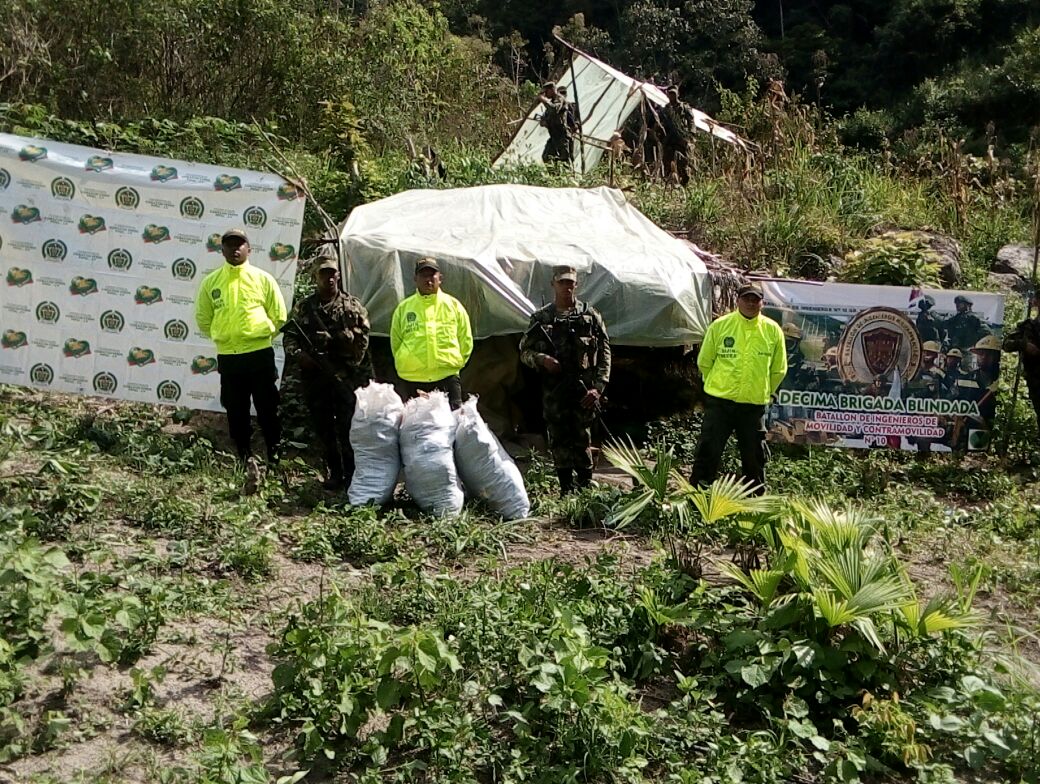 En el cesar la policía nacional erradicó tres hectáreas de cultivos ilícitos